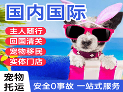威海机场邮寄国际宠物托运 【国